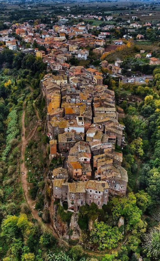 Agriturismo Villa Amerina Corchiano エクステリア 写真