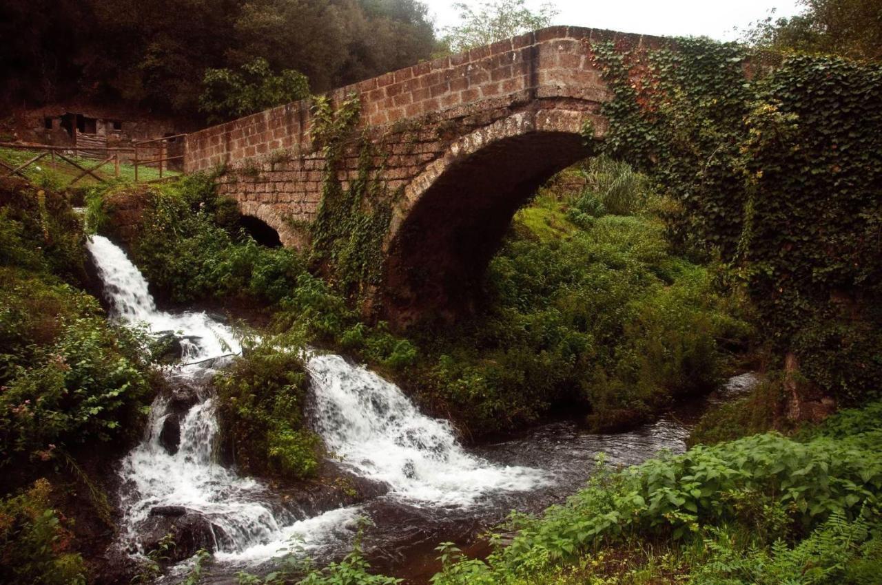 Agriturismo Villa Amerina Corchiano エクステリア 写真